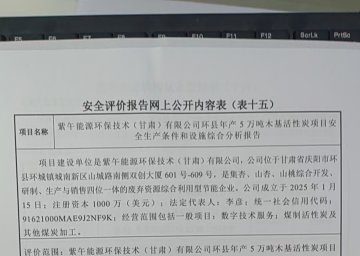 紫午能源環(huán)保技術(shù)(甘肅)有限公司環(huán)縣年產(chǎn)5 萬噸木基活性炭項(xiàng)目安全生產(chǎn)條件和設(shè)施綜合分析報(bào)告